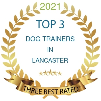 dog trainers lancaster 2021 clr